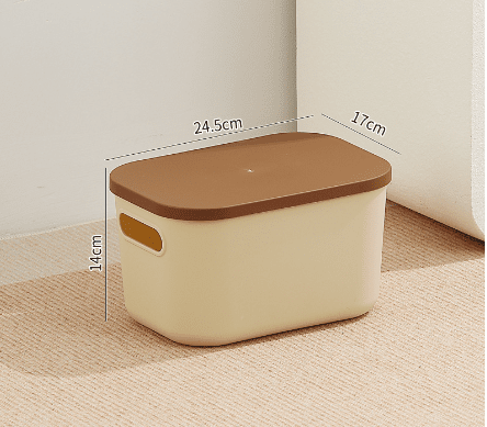 Home desktop cosmetics toys clothing storage box with lid small medicine box - 𝐝𝐮𝐯𝐥𝐚𝐬𝐡𝐨𝐩.𝐜𝐨𝐦