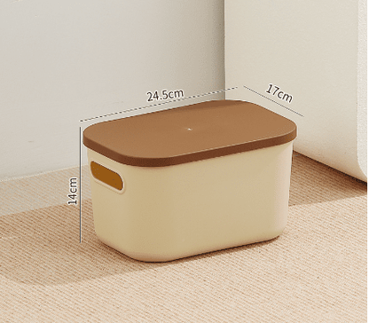 Home desktop cosmetics toys clothing storage box with lid small medicine box - 𝐝𝐮𝐯𝐥𝐚𝐬𝐡𝐨𝐩.𝐜𝐨𝐦